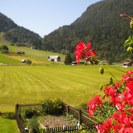 Affittacamere Krajnc Malborghetto Valbruna Buitenkant foto