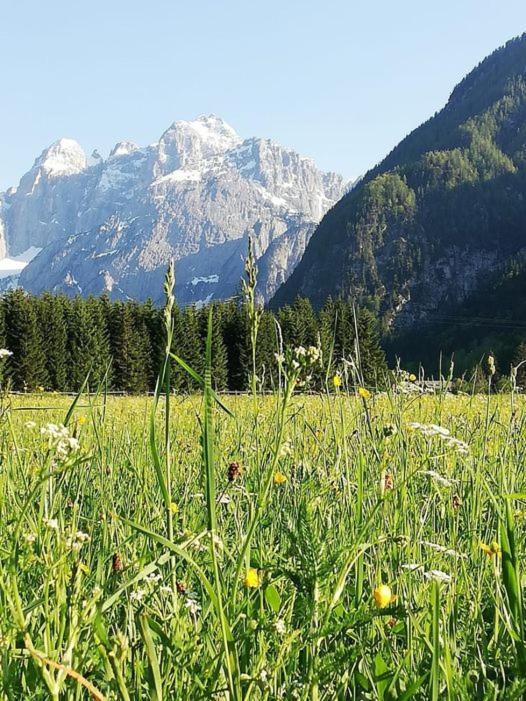 Affittacamere Krajnc Malborghetto Valbruna Buitenkant foto