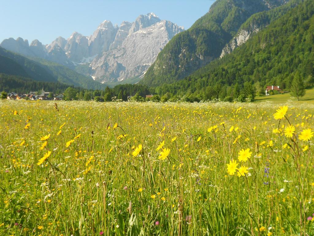 Affittacamere Krajnc Malborghetto Valbruna Buitenkant foto